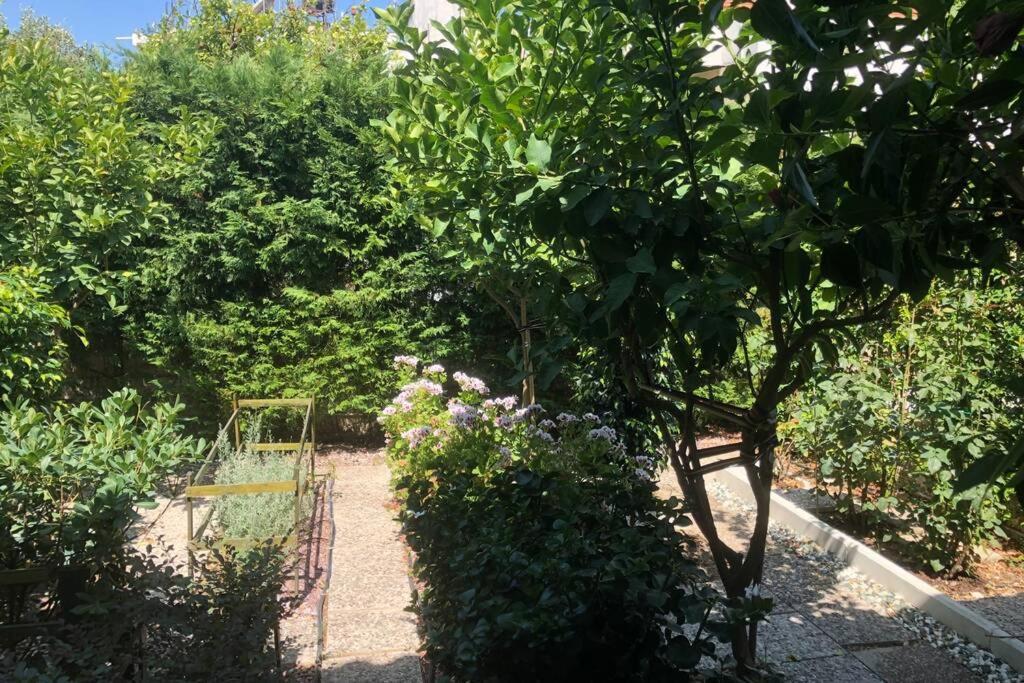 Ανακαινισμενη Μονοκατοικια 125 Τμ Στο Κεντρο Με Κηπο Villa Mesolóngion Dış mekan fotoğraf